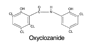 oxyclozanide manufacturers chennai india, oxyclozanide suppliers chennai india, oxyclozanide exporters chennai india